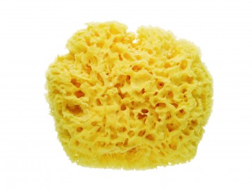ESPONJA NATURAL SARO