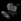 Moon Grey (Gris luna)